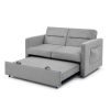 Loveseats Sofa Bed with Pull-out Bed; Adjsutable Back and Two Arm Pocket; Grey (54.5&ldquo;x33&rdquo;x31.5&ldquo;)